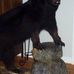 Kenneth Colburn - Facebook