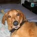 Kenneth Colgan - Facebook