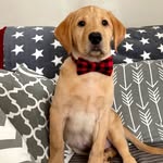 Kenneth - @kenneth_cookson - Instagram