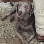 Kenneth coons - @kifid16735 - Instagram