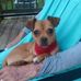 Kenneth Corey - Facebook