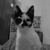 Kenneth Correa - @kenneth.correa7 - TikTok