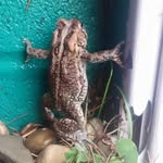 Kenneth Cottrill - @kwc131962 - Instagram