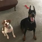 Kenneth Decker - @kenneth.decker.982 - Instagram