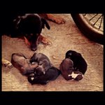 Kenneth Dickenson - @newsmadrop - Instagram