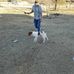 Ken Dingman - Facebook