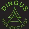 kennethdingus86 - @kennethdingus86 - TikTok
