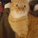 Kenneth Dismuke - Facebook