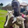 Kenneth dog and cats rescue - @kenneth.dog.andcatsrescu - TikTok