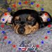 Kenneth Dorton - Facebook