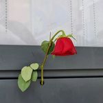 Kenneth C. Driskell - @kennethc.driskell - Instagram