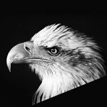 Kenneth Iron Eagle Dosie - @kennethirondosie - Instagram