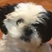 Kenneth Earnest - Facebook