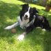 Ken Eastwood - Facebook