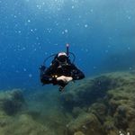 Kenneth Eckhoff - @kennetheckhoff - Instagram