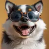 Kenneth Eden - @kenneth.eden - TikTok