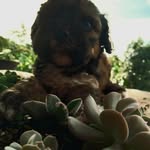 kenneth emanuel garcia culajay - @kennethemanuelgarcia - Instagram