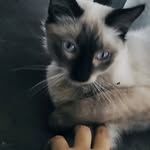 Kenneth Emanuel Yánez Muñoz - @kennethemanuelyanez - Instagram
