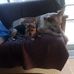 Ken Endicott - Facebook
