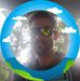 Kenny Epley - Facebook