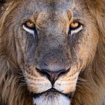 Kenneth Epperson - @trendy_767 - Instagram