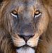 Kenneth Epperson - Facebook