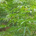 @kennethernest - @ernestkenneth490 - Instagram