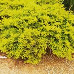 Kennethernest - @kennethernest2004 - Instagram