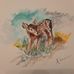 Kenneth Ervin - Facebook