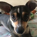 Kenneth Escobar - @kennethescobar72 - Instagram