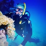 Kenneth Fallows - @fallowskenneth - Instagram