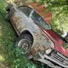 kfielfmoqe0 - @kenneth.fields60 - TikTok
