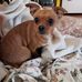 Kenneth Fite - Facebook