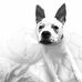 Ken Flatt - Facebook