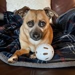 Kenneth Flatt - @flatt.kenneth - Instagram