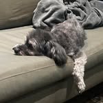 Kenneth D. Forbes - @kennethdeanforbes - Instagram