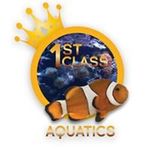 Kenneth Forbes - @1stclassaquatics_ - Instagram
