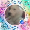 Kenneth Fulkerson - @kennethfulkerson - TikTok