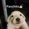 ★꧁༒☆•🅺ENŃETH•☆༒꧂★ - @kennethgamboa60 - TikTok