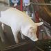 Kenneth Gammon - Facebook