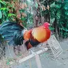 John Kenneth Gapasin - @johnkennethgapasi - TikTok