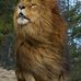 Kenneth Gaugler - Facebook