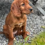 Kenneth Gausen - @gausenkenneth - Instagram