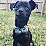 Kenneth The Gentleman - @kenneththegentleman - Instagram