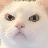 KennyG - @kenneth.hicks49 - TikTok
