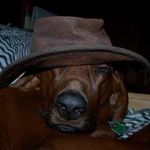 Kenneth Goodwin - @kenneth.goodwin.3152 - Instagram