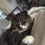 kenneth - @kennethgriffeyjr - Instagram