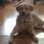 Kenneth Griffey - @kennethgriffey - Instagram