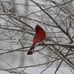 Ken Grochowsky - Facebook