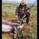 Kenneth Gundersen - @kenneth.gundersen - Instagram